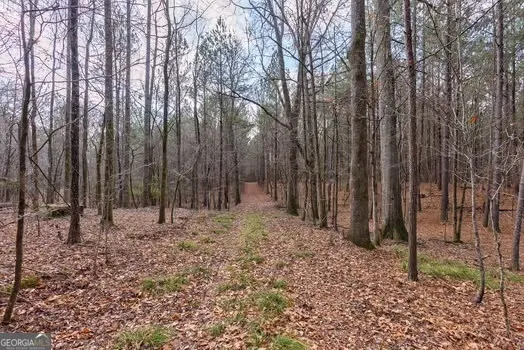 0 Double Bridges RD Madison, GA 30650