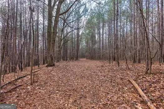 0 Double Bridges RD Madison, GA 30650