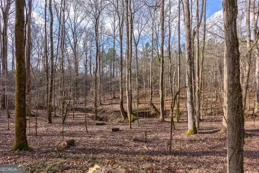 0 Double Bridges RD Madison, GA 30650