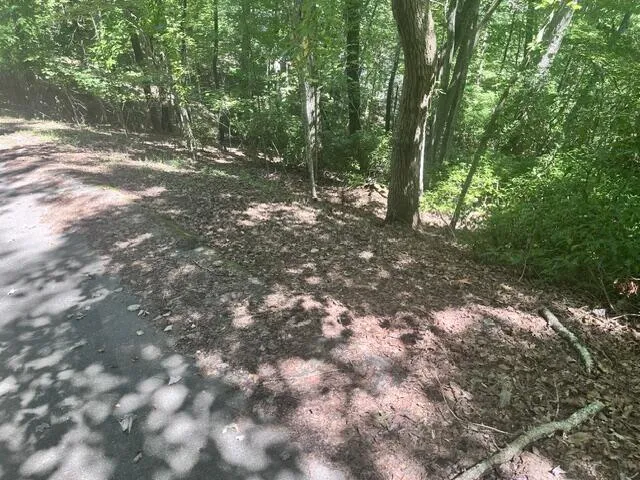 16 S Dogwood Hayesville, NC 28904