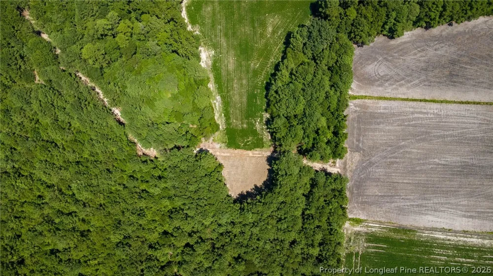 Balfour Road Lumber Bridge, NC 28357