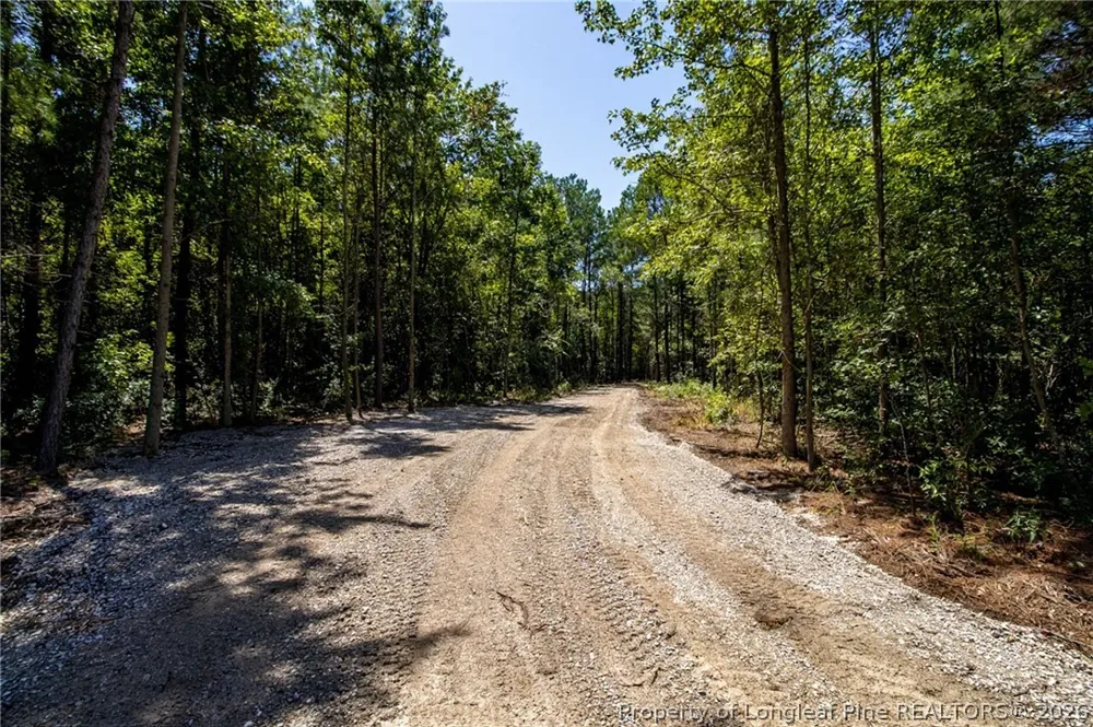 Balfour Road Lumber Bridge, NC 28357