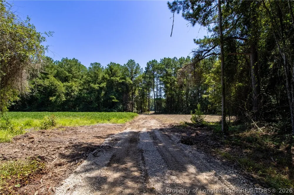 Balfour Road Lumber Bridge, NC 28357