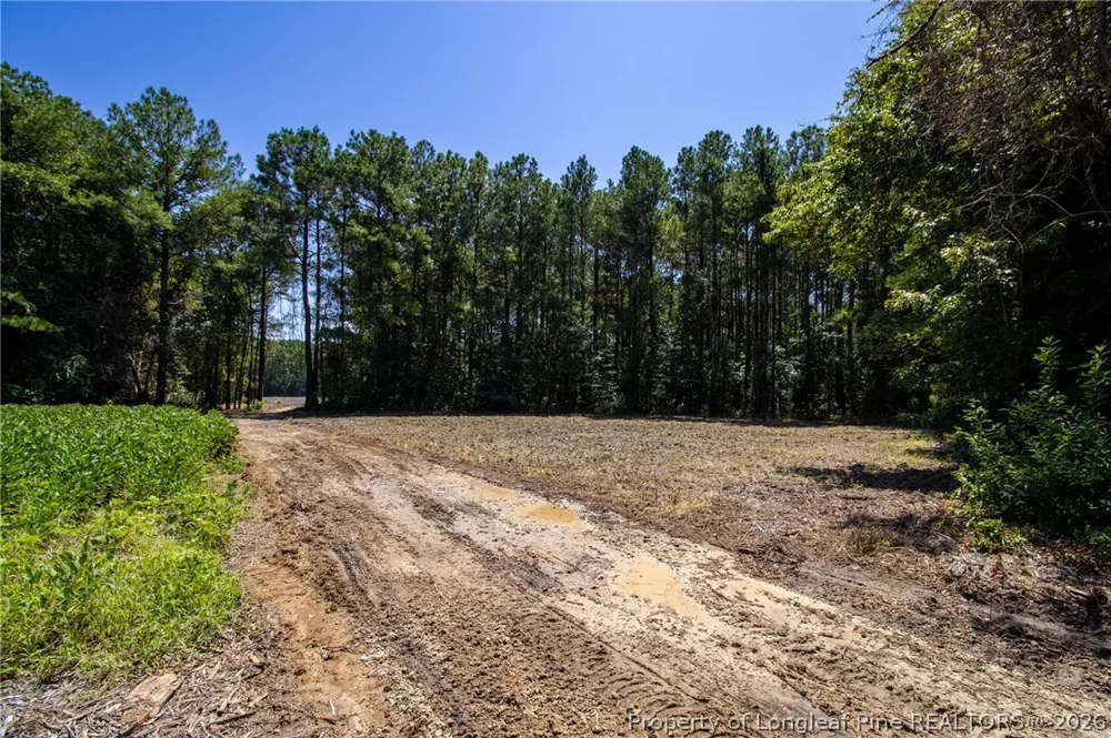Balfour Road Lumber Bridge, NC 28357
