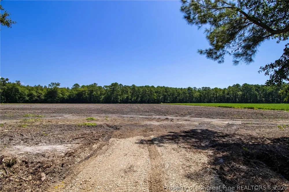 Balfour Road Lumber Bridge, NC 28357