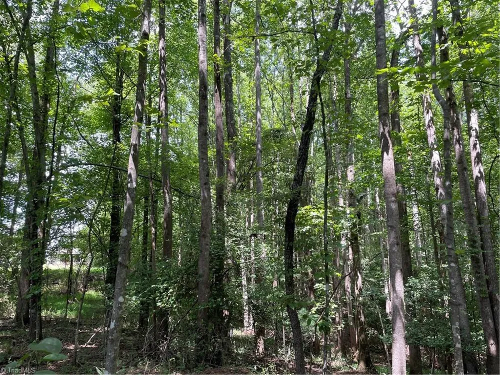 0 Sawyer Road Hays, NC 28635
