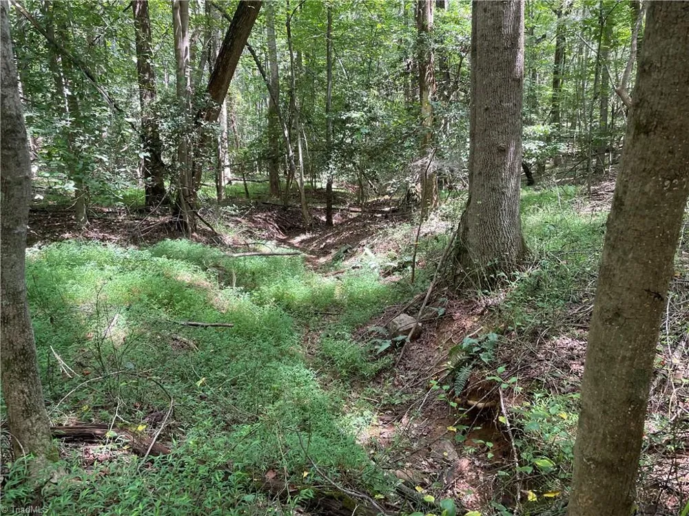 0 Sawyer Road Hays, NC 28635