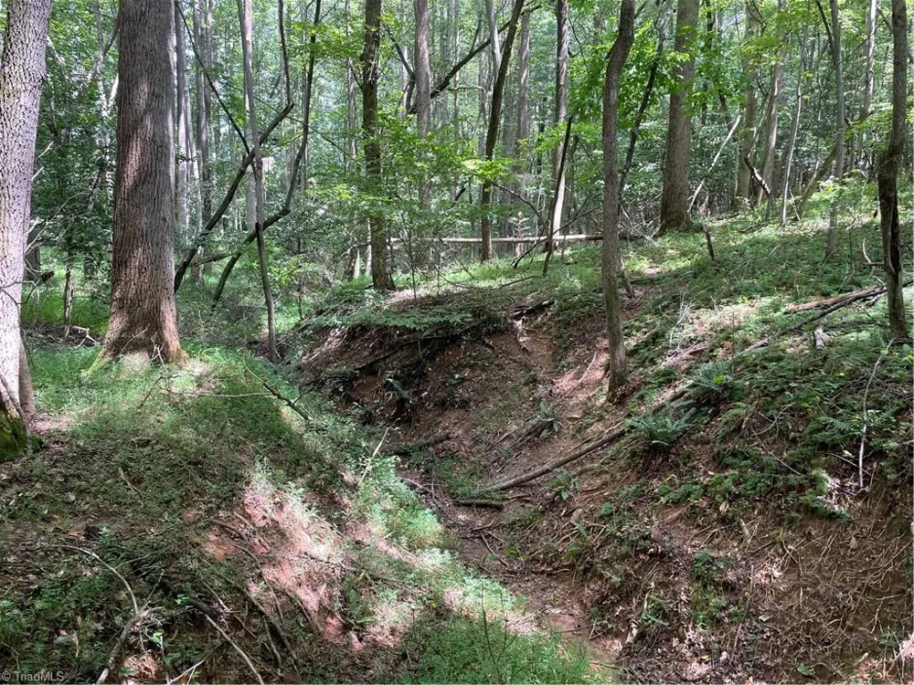 0 Sawyer Road Hays, NC 28635