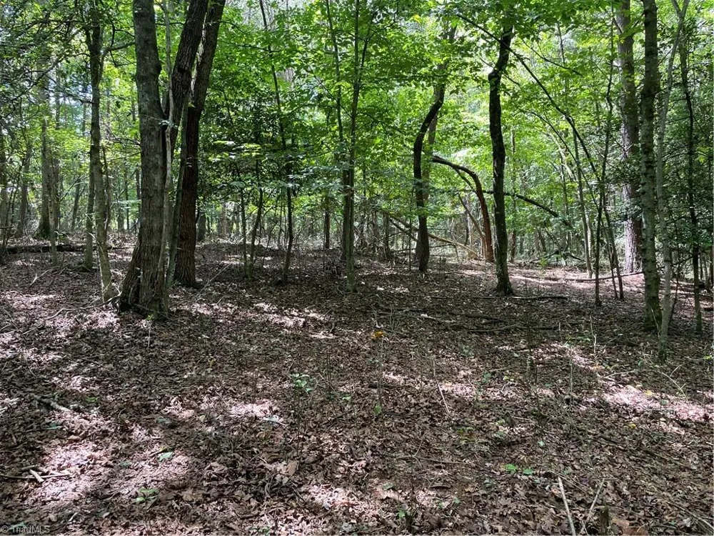 0 Sawyer Road Hays, NC 28635
