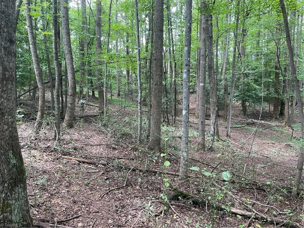 0 Sawyer Road Hays, NC 28635