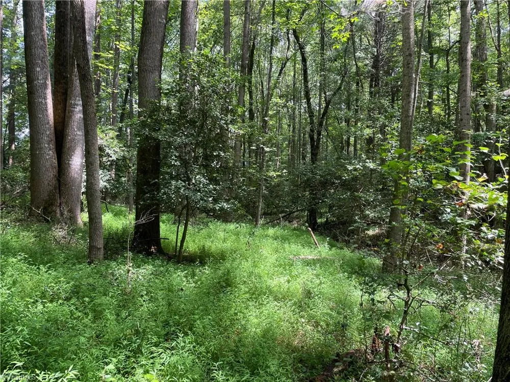 0 Sawyer Road Hays, NC 28635