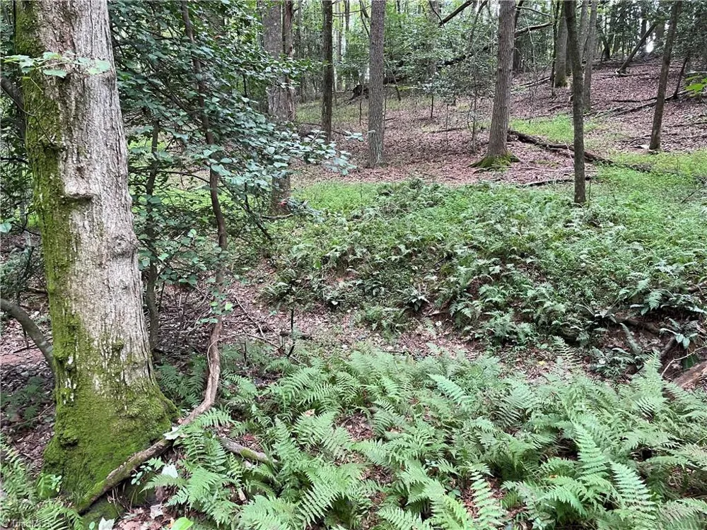 0 Sawyer Road Hays, NC 28635