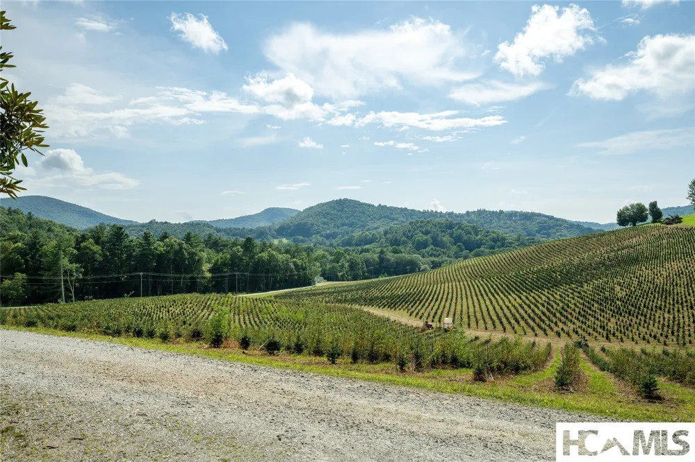 134 Bonanza Drive Cullowhee, NC 28723