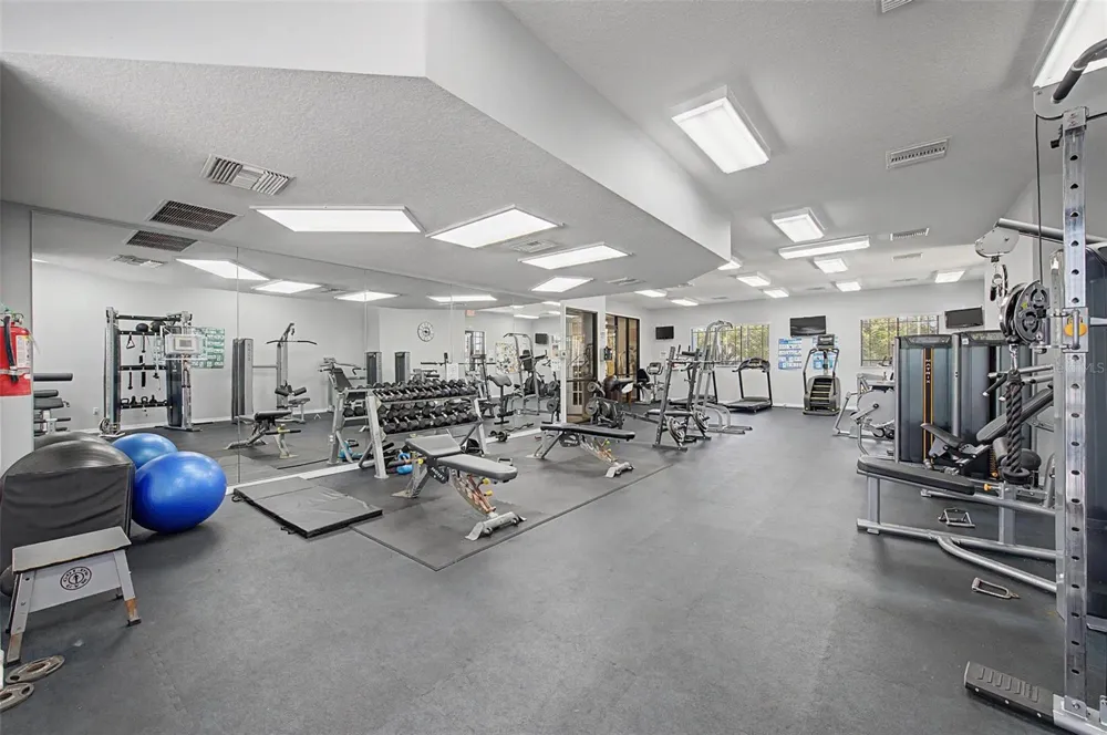 7838 CARRIAGE POINTE DRIVE Gibsonton, FL 33534