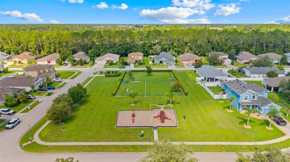 30407 STAPLETON STREET Wesley Chapel, FL 33545