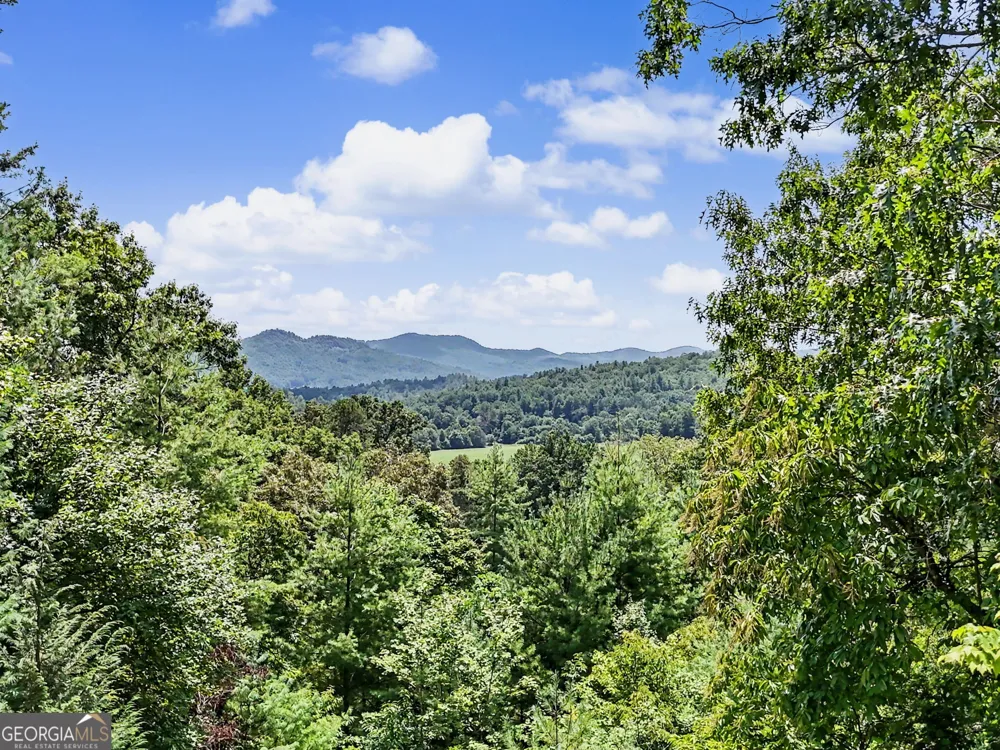 171 Bell Colony RD Dillard, GA 30537
