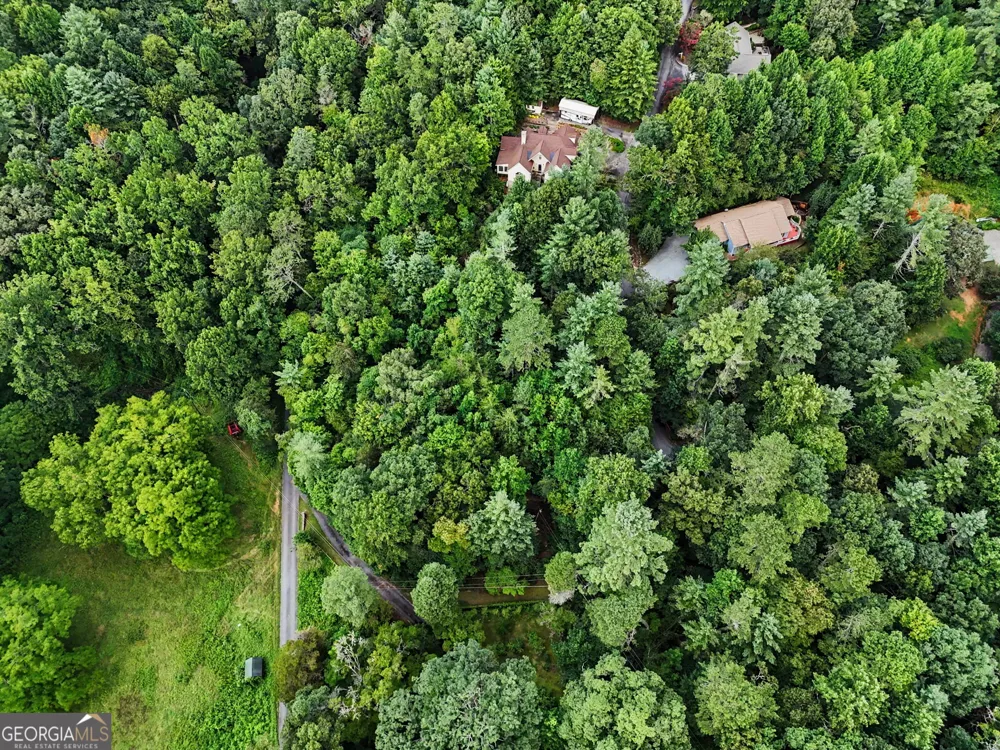 171 Bell Colony RD Dillard, GA 30537