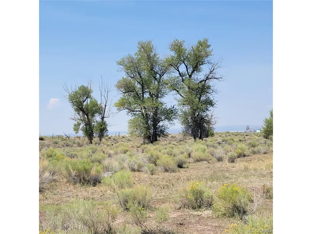 14717 County Road E5 Antonito, CO 81120