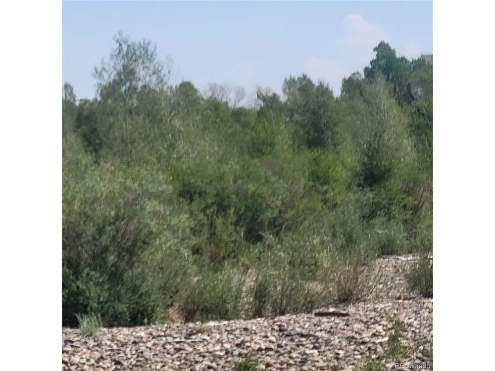 14717 County Road E5 Antonito, CO 81120
