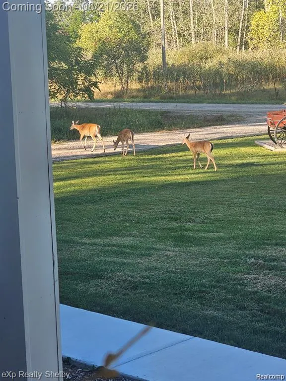 70336 Welding Road Richmond Township, MI 48062