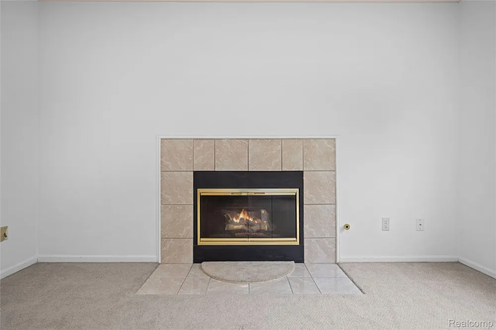 47258 Scarlet Drive Novi City, MI 48374