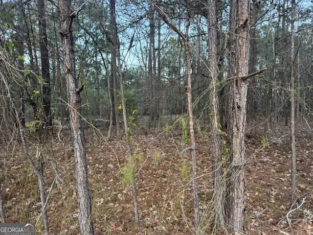 0 Pelican CV Midway, GA 31320