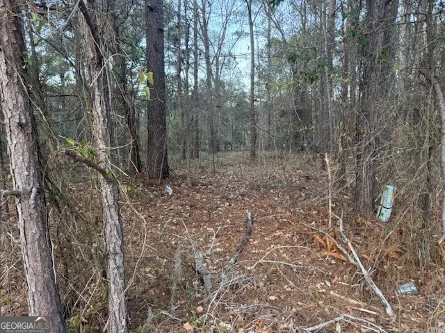 0 Pelican CV Midway, GA 31320