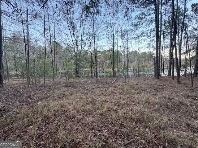 0 Pelican CV Midway, GA 31320