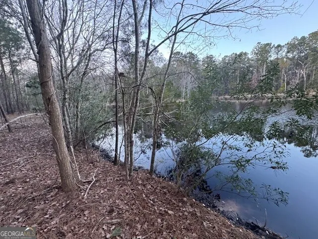 0 Pelican CV Midway, GA 31320