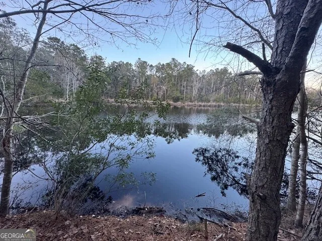 0 Pelican CV Midway, GA 31320