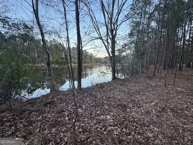 0 Pelican CV Midway, GA 31320