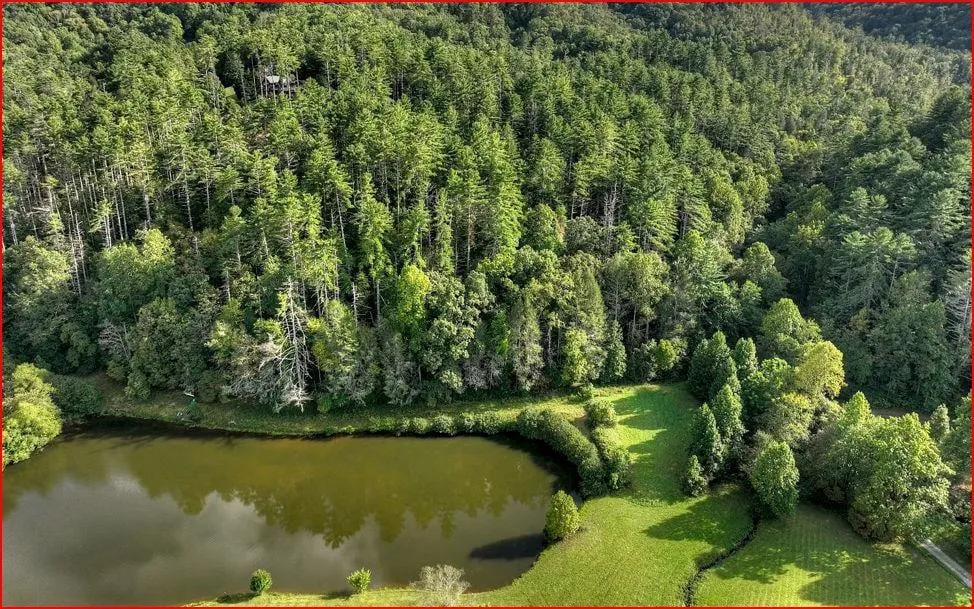 0 Walker Ridge Way Mineral Bluff, GA 30559