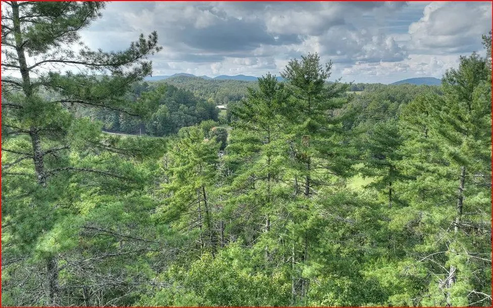 0 Walker Ridge Way Mineral Bluff, GA 30559