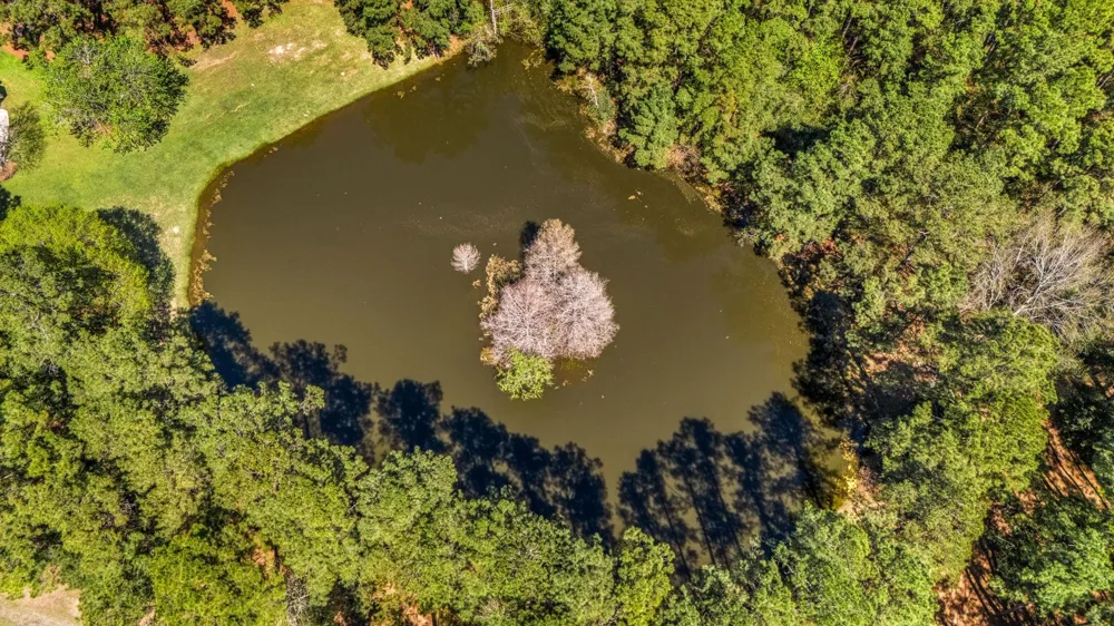 14419 Timbergreen Drive Magnolia, TX 77355