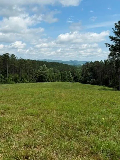 1100 Fuller Mountain Fairmount, GA 30143