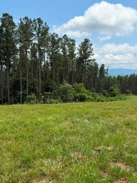 1100 Fuller Mountain Fairmount, GA 30143