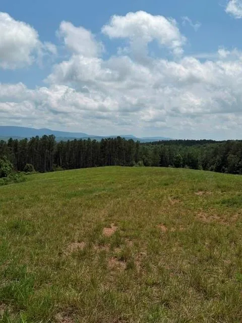 1100 Fuller Mountain Fairmount, GA 30143