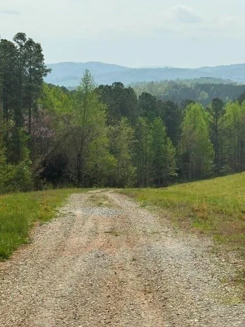 1100 Fuller Mountain Fairmount, GA 30143