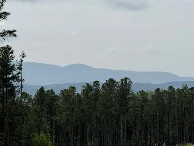 1100 Fuller Mountain Fairmount, GA 30143