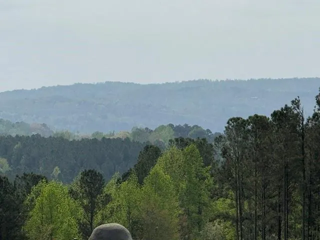 1100 Fuller Mountain Fairmount, GA 30143