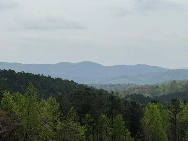 1100 Fuller Mountain Fairmount, GA 30143
