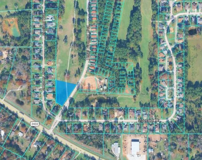1 Texas National Blvd Willis, TX 77303