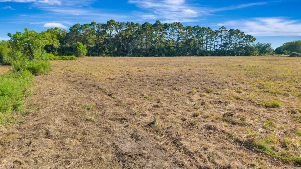 3217 State Highway 172 Ganado, TX 77962