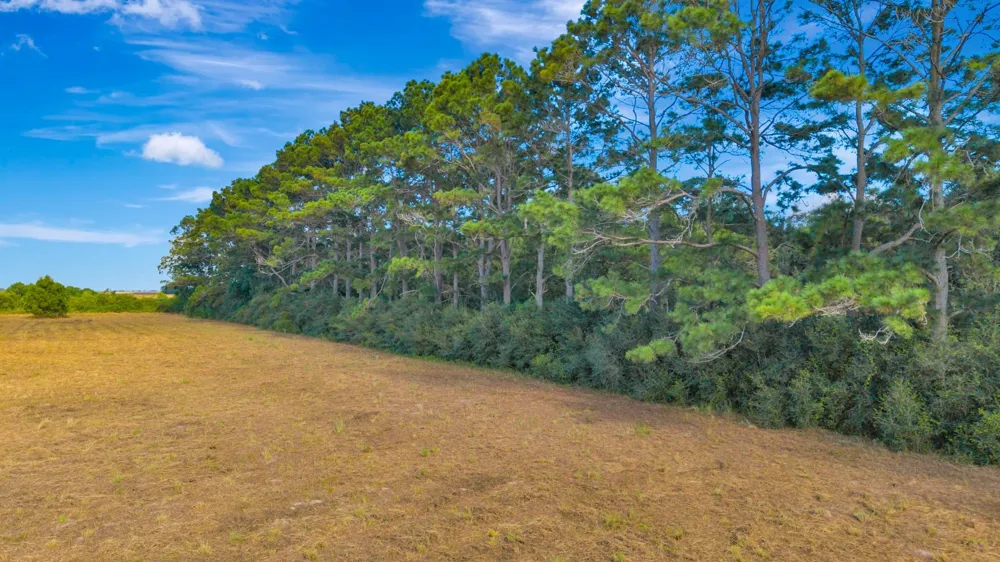 3217 State Highway 172 Ganado, TX 77962
