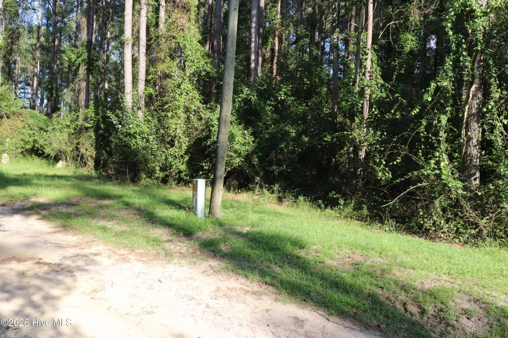 Tbd River Haven Lane Harrells, NC 28444