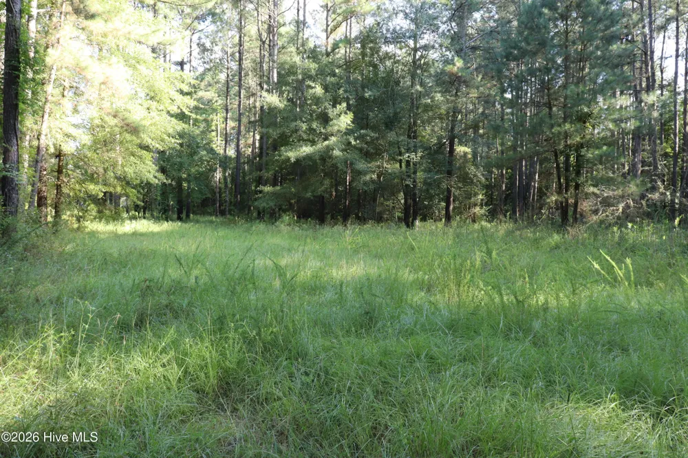 Tbd River Haven Lane Harrells, NC 28444