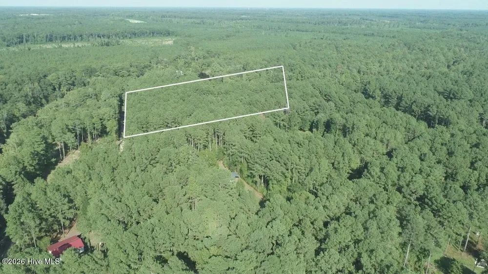 Tbd River Haven Lane Harrells, NC 28444