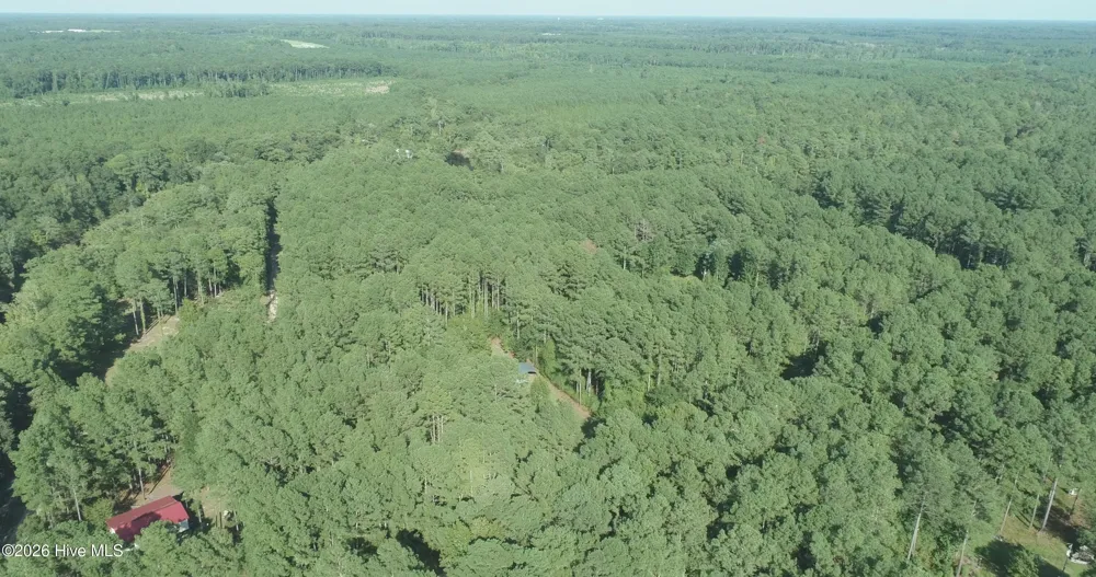 Tbd River Haven Lane Harrells, NC 28444