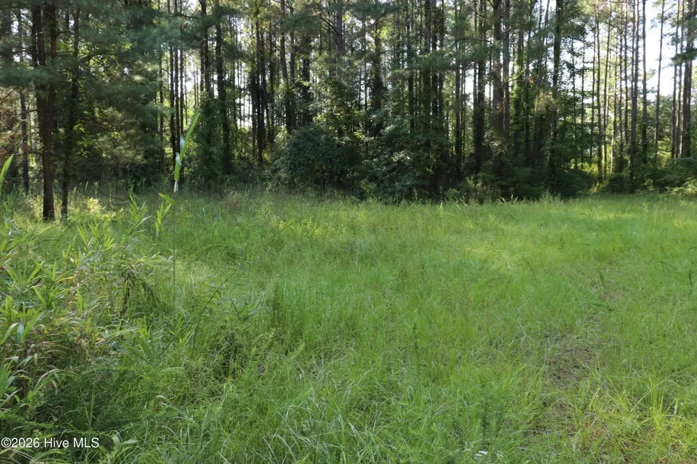 Tbd River Haven Lane Harrells, NC 28444