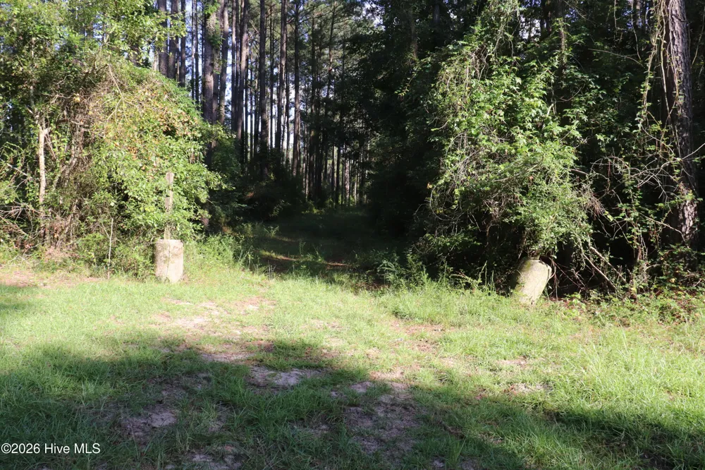 Tbd River Haven Lane Harrells, NC 28444